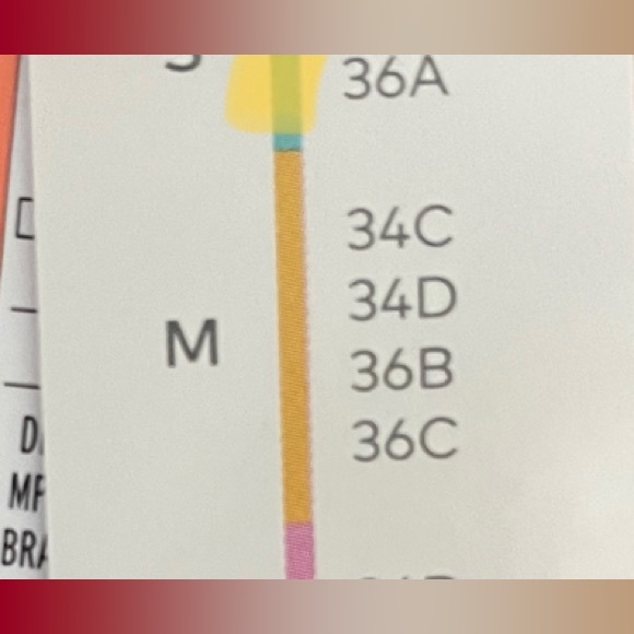 Bundle of Red Lace Bra - Picture 4 of 5